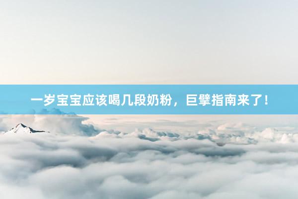 一岁宝宝应该喝几段奶粉，巨擘指南来了！