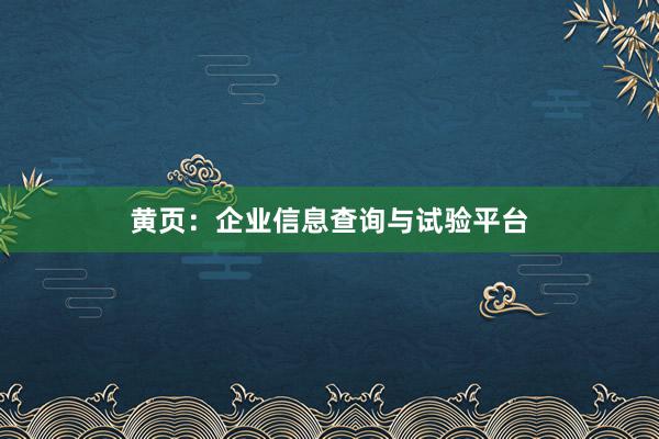 黄页：企业信息查询与试验平台