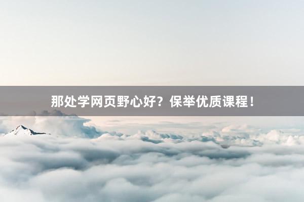 那处学网页野心好？保举优质课程！