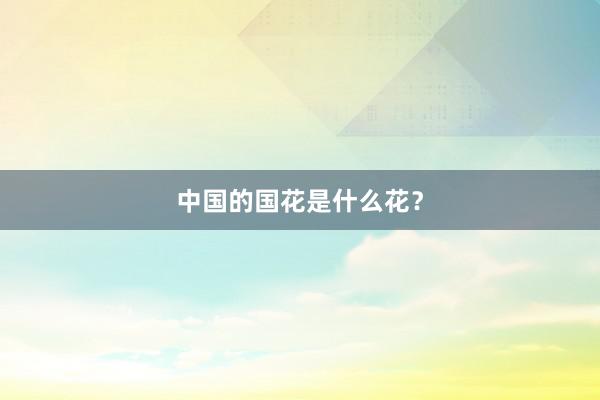 中国的国花是什么花？