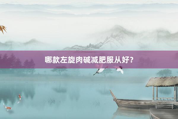哪款左旋肉碱减肥服从好？
